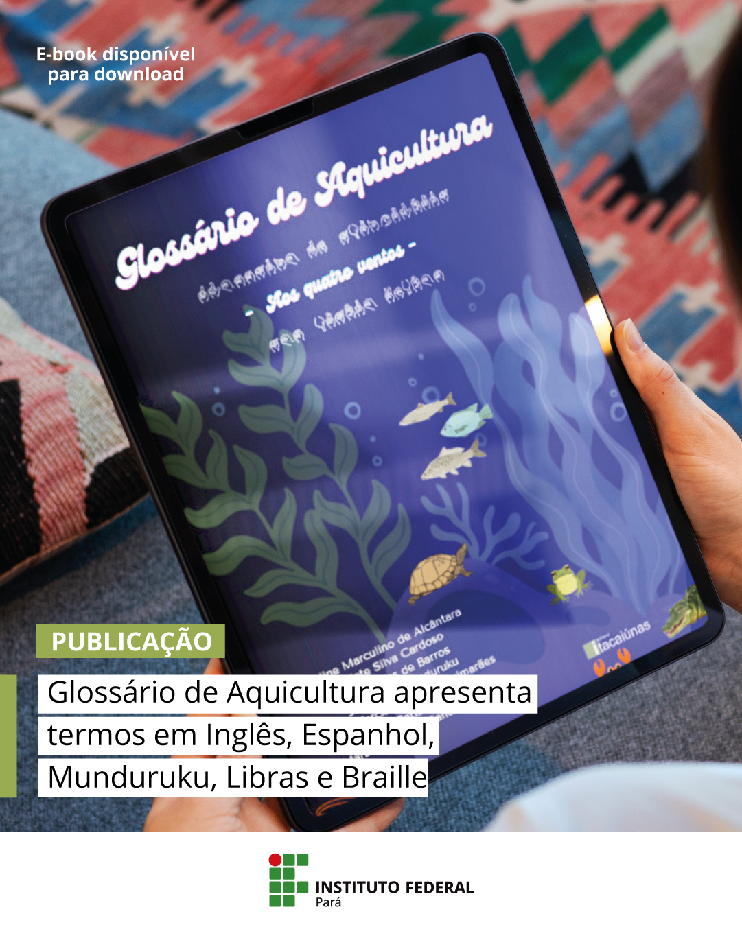 imagem sem descrição.